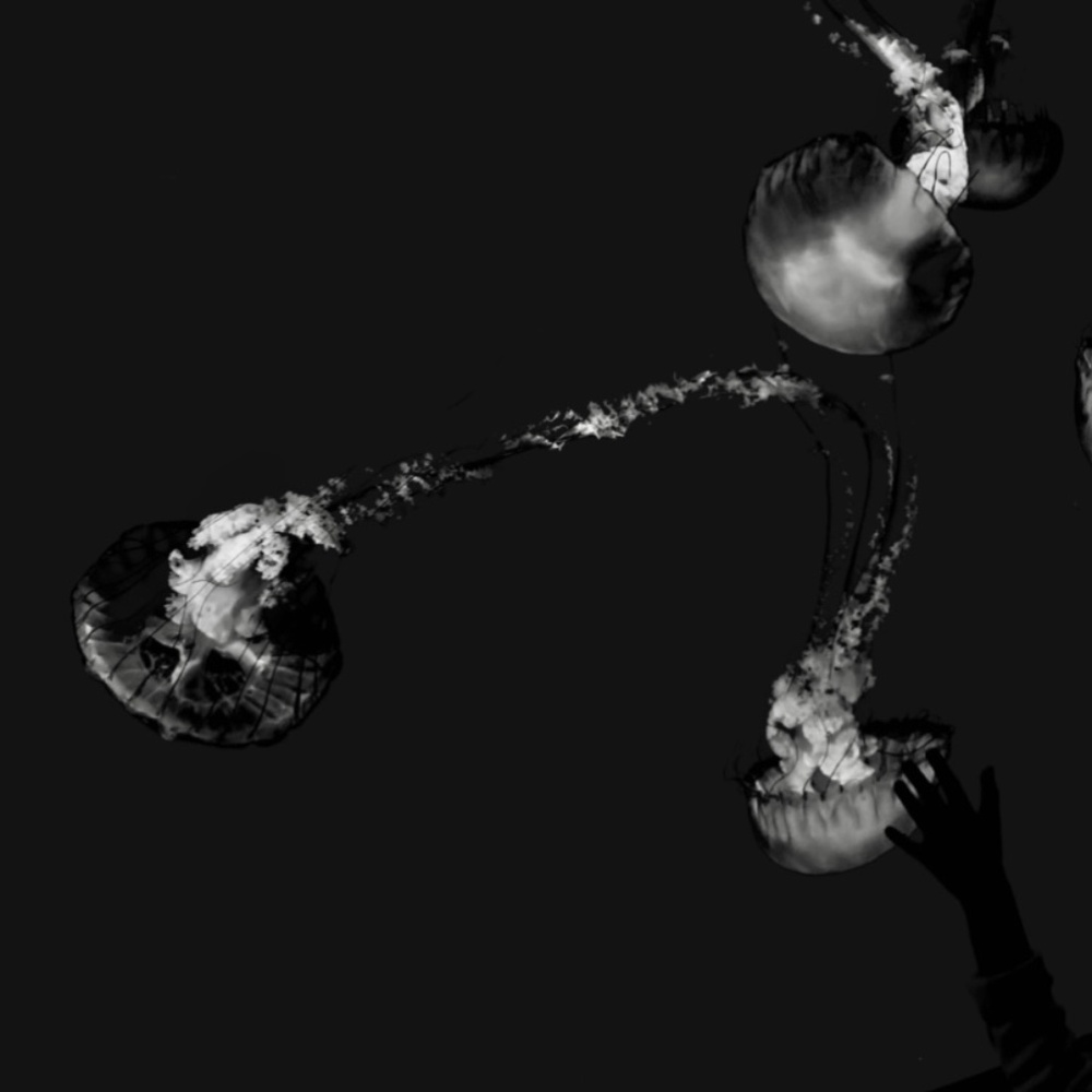 Meet your Posher, Daisy